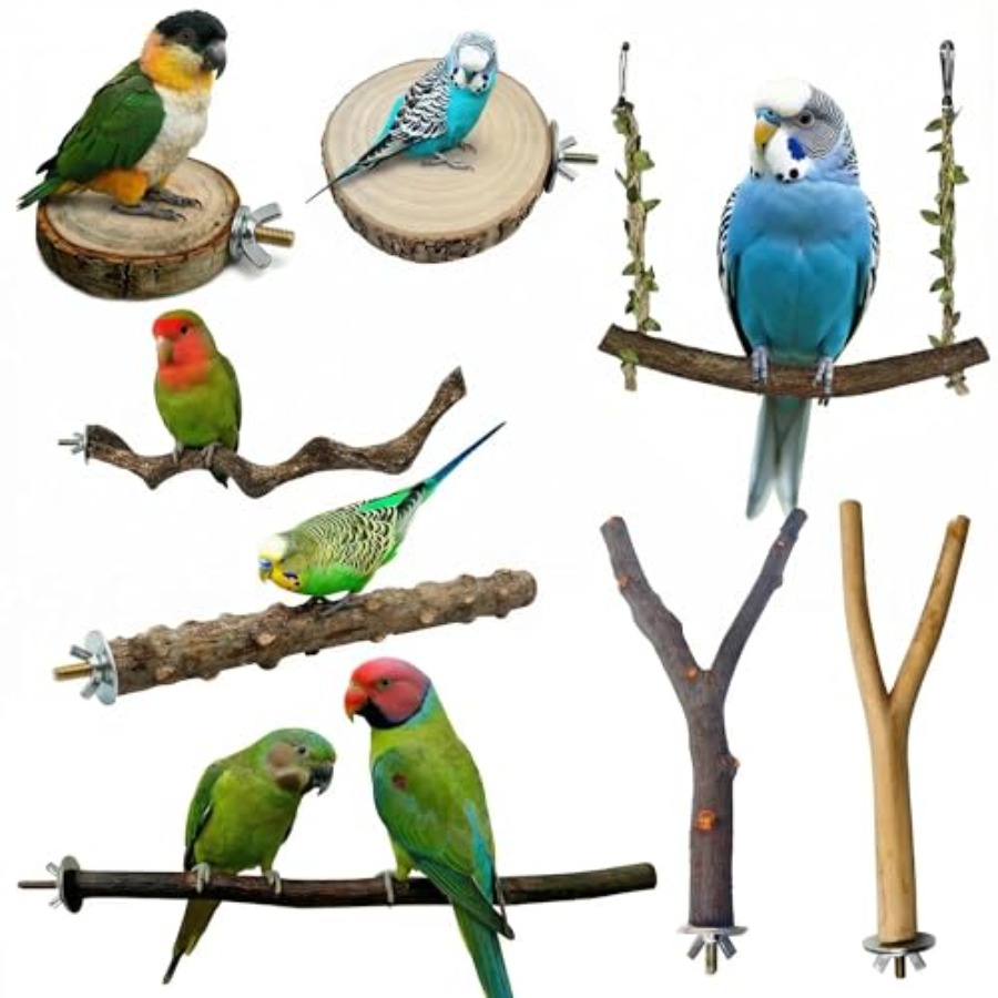 8PCS natural wood bird perches - огляд і ціна Health & Wellness Gordon Edlin