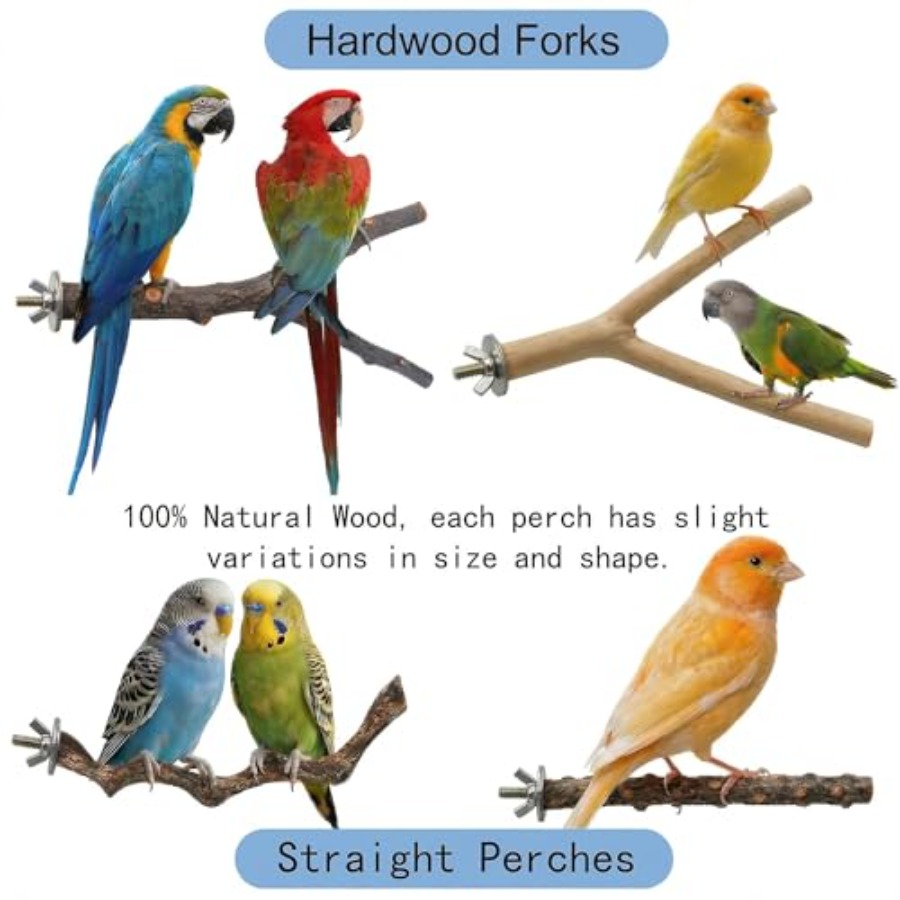 8PCS natural wood bird perches - огляд і ціна Health & Wellness Gordon Edlin