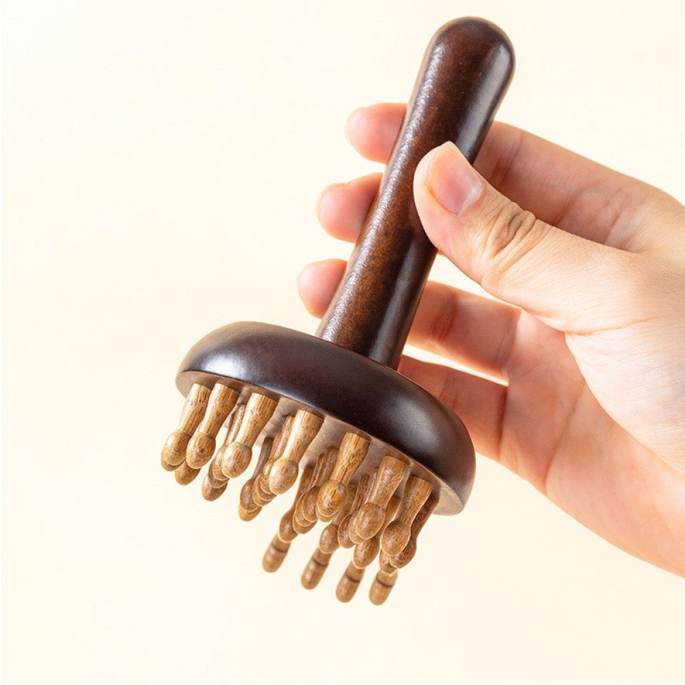 Manual Meridian Massage Brush  - огляд і ціна Holistic Health & Wellness