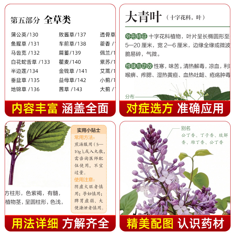 Illustrated Guide  Chinese Her - огляд і ціна Holistic Health & Wellness